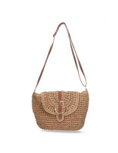 CL13026-Camel